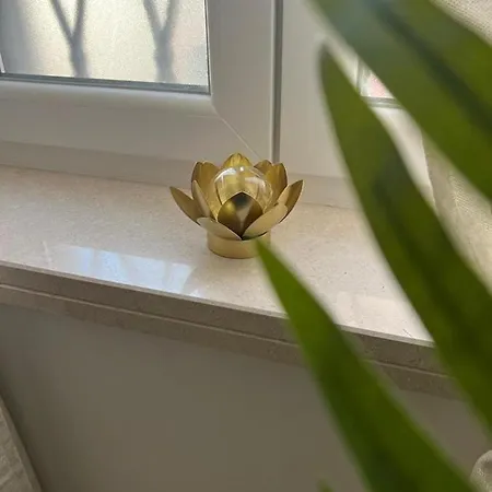 Fior Di Loto - Antonelli Turín