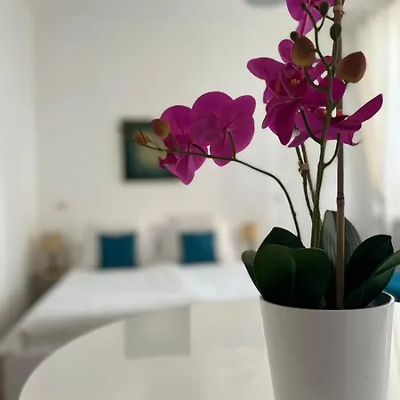 Fior Di Loto - Antonelli