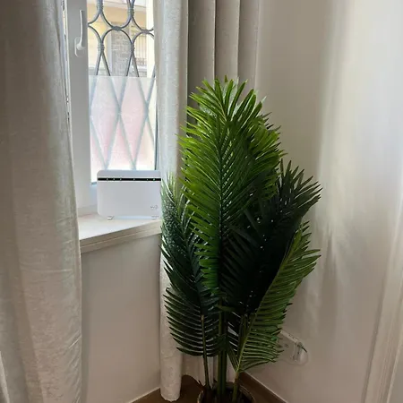 Fior Di Loto - Antonelli * トリノ